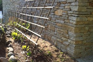 kuusekivi viinam.JPG