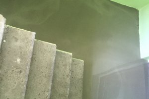 Verneri föön 240.JPG