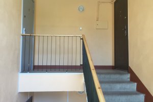 Verneri föön 258.JPG