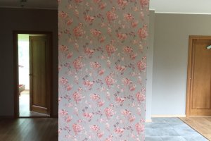 Verneri föön 375.JPG