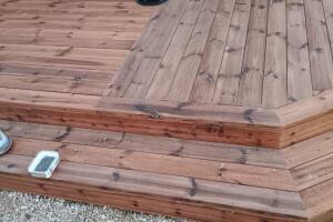 WhatsApp Image 2026-03-20 at 10.12.50.jpeg