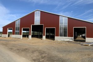 photo_2021-01-29 18.19.01.jpeg