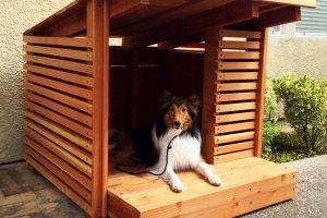 Koerakuut eritellimusel.jpg