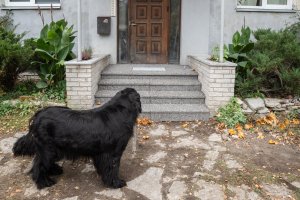 Korteriühistu trepi renoveerimine Tallinnas-15.JPG