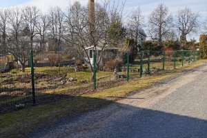 91195421_126677812261438_6535405984884457472_n (1).jpg