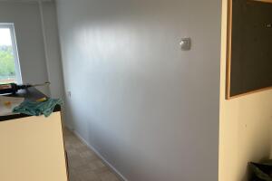 IMG_1484.jpeg