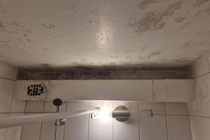 Hallitusetõrje ja lae taastamine.jpg