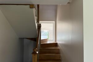 IMG_6454.jpeg