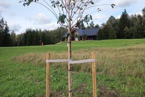 WhatsApp Image 2024-07-19 at 16.36.37_12bb1624.jpg