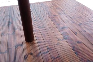 WhatsApp Image 2024-02-27 at 14.24.04.jpeg