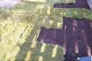 WhatsApp Image 2024-07-19 at 16.46.56_fc6ce463.jpg