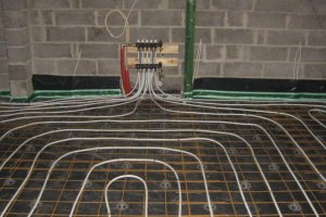 armsa pildid 200.JPG