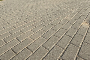 Kuvatõmmis 2026-03-25 120016.png