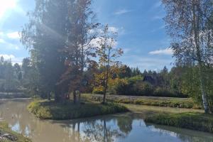 Tiik peale puhastamist.jpg