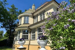 WhatsApp Image 2026-08-21 at 17.18.55 (6).jpeg