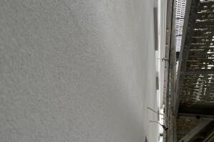 IMG_0208.jpeg