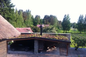 kuusekivi varikatus.jpg