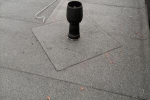 IMG_1860.jpeg