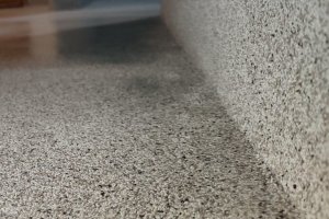 image_6483441 (16).JPG