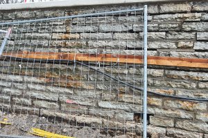 20200327_171110 — копия.jpg