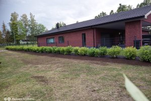 WhatsApp Image 2024-07-19 at 16.38.10_f593cbeb.jpg