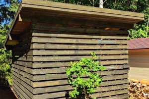 Puukuur-1-965x1024 (1).jpeg