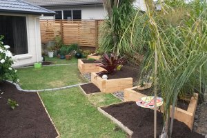 2015-12-15 10.53.34.jpg