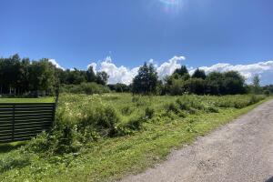 IMG_7011.jpeg