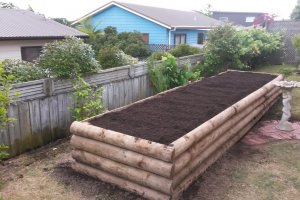 2015-11-20 16.53.48.jpg