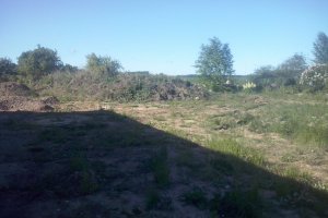 Tartu - Tänavakivi paigaldus + haljastus 1.jpg