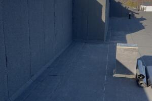 IMG_2412.jpeg