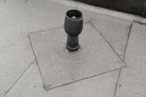 IMG_1859.jpeg