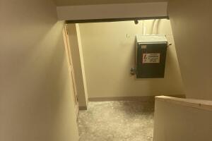 IMG_2507.jpeg