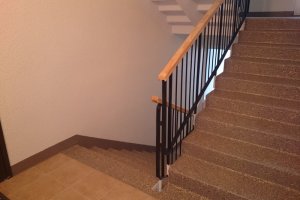 DSC_0808 (1)_large.JPG