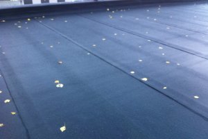 lame katus soome  korter maja 1100m2.jpg