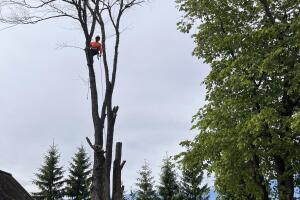 IMG_9898.jpg