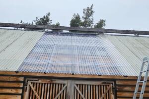 WhatsApp Image 2026-03-19 at 17.49.46.jpeg