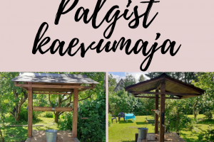 Palgist kaevumaja.png