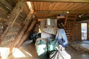 IMG_6706.jpeg