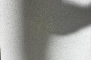 IMG_3573.jpeg