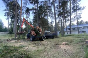 IMG_6884.jpeg
