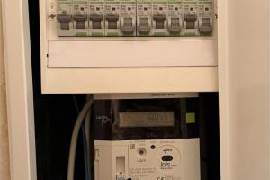 IMG_1517.jpeg