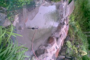 pildid miku telefonist 428.jpg