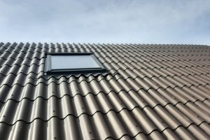 20220806_125546 (1).jpg