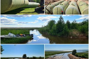 IMG-23be31b43834bfef7f5109dece28dec3-V (2).jpg