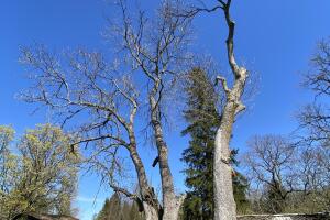 IMG_6753.jpeg