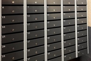 B4888E23-1679-4557-A04B-C91C2E127887 (1).jpeg