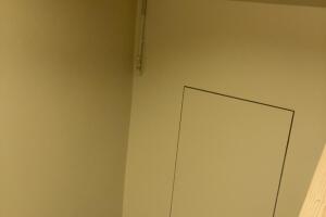IMG_2509.jpeg