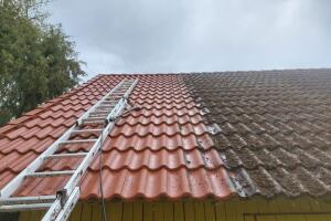 WhatsApp Image 2026-03-12 at 17.07.54.jpeg