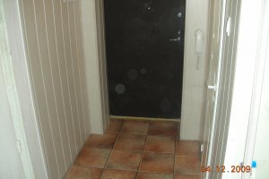 tarmo töö orasheina ja kadriorus 011.jpg